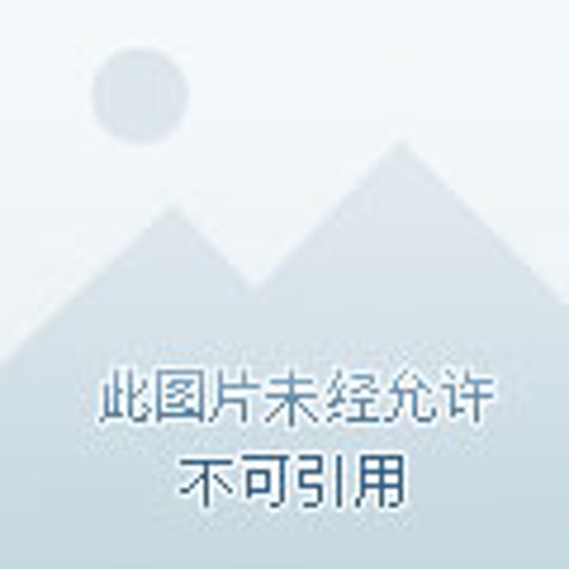 江苏煤炭批发